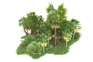 Realistic forest isolated on transparent background. 3d rendering - illustration png