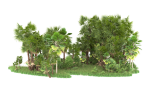 Realistic forest isolated on transparent background. 3d rendering - illustration png