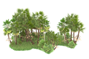 realistico foresta isolato su trasparente sfondo. 3d interpretazione - illustrazione png