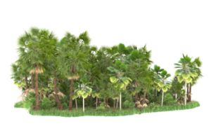 forêt réaliste isolée sur fond transparent. rendu 3d - illustration png