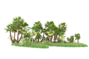 Realistic forest isolated on transparent background. 3d rendering - illustration png