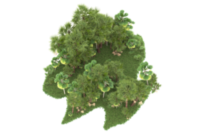 Realistic forest isolated on transparent background. 3d rendering - illustration png