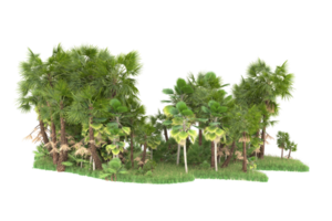 Realistic forest isolated on transparent background. 3d rendering - illustration png