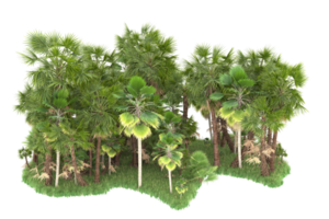 Realistic forest isolated on transparent background. 3d rendering - illustration png