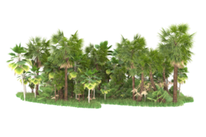 Realistic forest isolated on transparent background. 3d rendering - illustration png