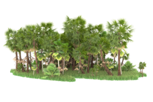 Realistic forest isolated on transparent background. 3d rendering - illustration png