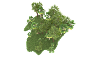 realistico foresta isolato su trasparente sfondo. 3d interpretazione - illustrazione png