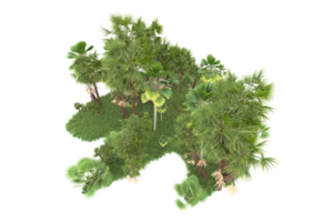 forêt réaliste isolée sur fond transparent. rendu 3d - illustration png