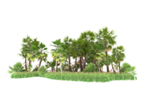 Realistic forest isolated on transparent background. 3d rendering - illustration png