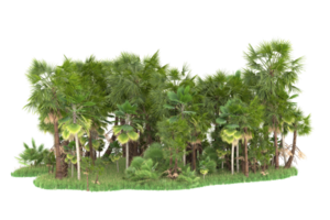 Realistic forest isolated on transparent background. 3d rendering - illustration png