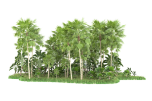 Realistic forest isolated on transparent background. 3d rendering - illustration png