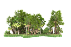 Realistic forest isolated on transparent background. 3d rendering - illustration png