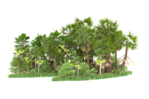 Realistic forest isolated on transparent background. 3d rendering - illustration png