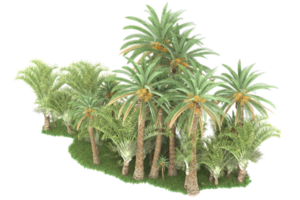 Realistic forest isolated on transparent background. 3d rendering - illustration png