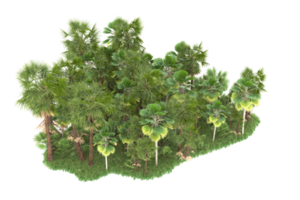 Realistic forest isolated on transparent background. 3d rendering - illustration png