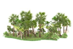 Realistic forest isolated on transparent background. 3d rendering - illustration png