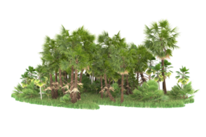 Realistic forest isolated on transparent background. 3d rendering - illustration png