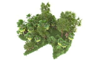 forêt réaliste isolée sur fond transparent. rendu 3d - illustration png