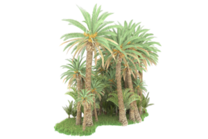 Realistic forest isolated on transparent background. 3d rendering - illustration png