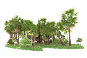 Realistic forest isolated on transparent background. 3d rendering - illustration png