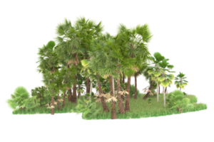 Realistic forest isolated on transparent background. 3d rendering - illustration png