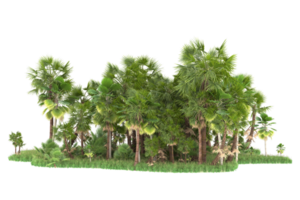 Realistic forest isolated on transparent background. 3d rendering - illustration png