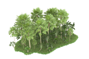 Realistic forest isolated on transparent background. 3d rendering - illustration png