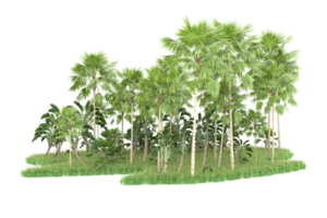 Realistic forest isolated on transparent background. 3d rendering - illustration png