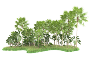 Realistic forest isolated on transparent background. 3d rendering - illustration png