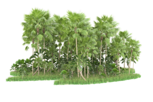 Realistic forest isolated on transparent background. 3d rendering - illustration png