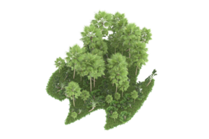 forêt réaliste isolée sur fond transparent. rendu 3d - illustration png