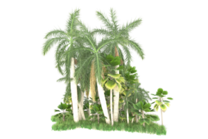 forêt réaliste isolée sur fond transparent. rendu 3d - illustration png