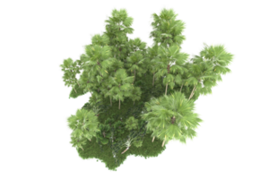 forêt réaliste isolée sur fond transparent. rendu 3d - illustration png