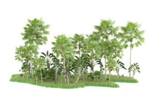 Realistic forest isolated on transparent background. 3d rendering - illustration png