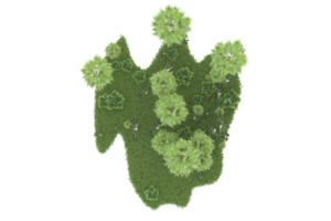 Realistic forest isolated on transparent background. 3d rendering - illustration png