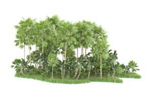 Realistic forest isolated on transparent background. 3d rendering - illustration png