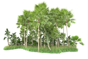 Realistic forest isolated on transparent background. 3d rendering - illustration png