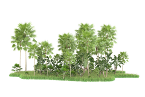 Realistic forest isolated on transparent background. 3d rendering - illustration png