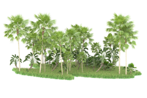 Realistic forest isolated on transparent background. 3d rendering - illustration png