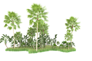 Realistic forest isolated on transparent background. 3d rendering - illustration png