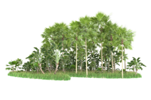 Realistic forest isolated on transparent background. 3d rendering - illustration png