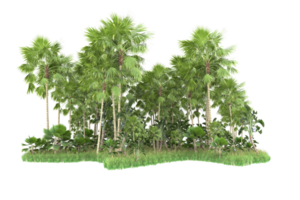 Realistic forest isolated on transparent background. 3d rendering - illustration png