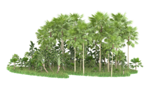 Realistic forest isolated on transparent background. 3d rendering - illustration png