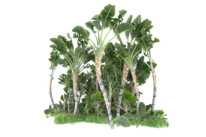 Realistic forest isolated on transparent background. 3d rendering - illustration png