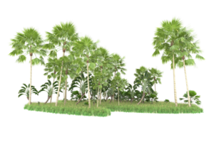 Realistic forest isolated on transparent background. 3d rendering - illustration png