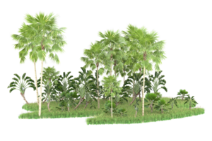 Realistic forest isolated on transparent background. 3d rendering - illustration png