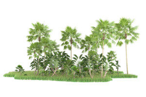 Realistic forest isolated on transparent background. 3d rendering - illustration png