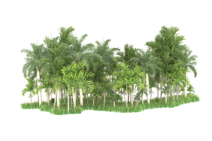 Realistic forest isolated on transparent background. 3d rendering - illustration png