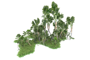 forêt réaliste isolée sur fond transparent. rendu 3d - illustration png