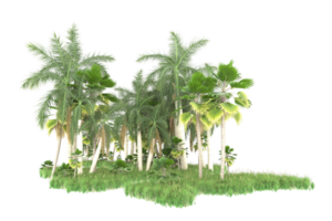 Realistic forest isolated on transparent background. 3d rendering - illustration png